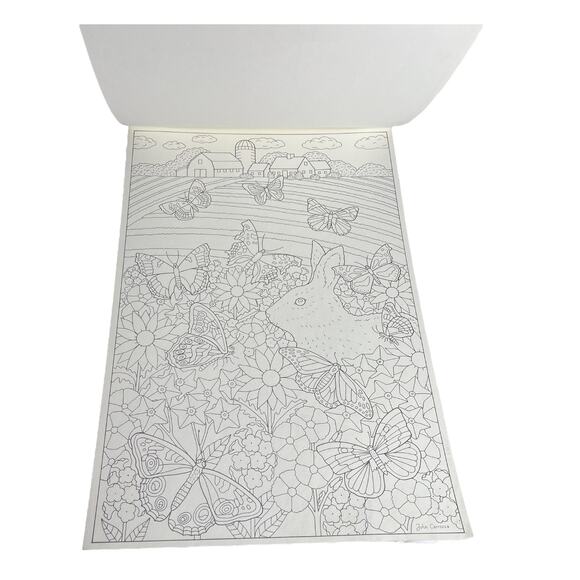 VTG Red Farm Studio Butterflies LARGE COLORING BOOK 6PG Carroza Art Attached 18" - Picture 5 of 8